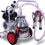 Melasty Single Milking Machine (Mobile) - Stainless Steel Bucket / Rubber Liners / 240cc Milk Claw