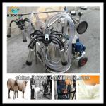 Has more than 10 experience single cow portable milking machine