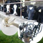 2013 China best selling milking machine/goat milking machine/portable milking machine (008615238693720)