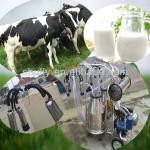 milk machine for farms (008615238693720)