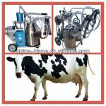Easy to move single cow milking machine