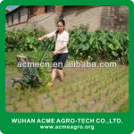 AM-430 Two Rows Manual Rice Transplanter Price