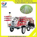 Hot selling china 6 row 4 wheel rice transplanter price (+86-371-86226198)