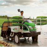 high quality cheap price rice planting machines