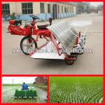 high quality best seller rice planting machine and prices/ rice seeds planting machines