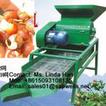 2012 hot-sale soap nut shells machine,Oil tea nuts husking machine,machine peeling the nuts SAW35