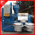 palm kernel oil making machine/automatic oil making machine/seeds oil making machine