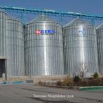 Muyang Metal Silo for Grain Storage