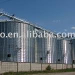 3000t flat bottom silos equipped with galvanized elevators, conveyors,roof catwalk and other facilities