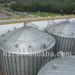 Farm and flour mill storage grain,large capacity silo