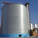 500tons Silo for Corn Grain, Maize Silos, Maize Storage Silos