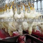 Automatic Chicken Slaughtering machine / poultry slaughter machine