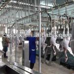 Halal chicken slaughter machine for sale/conveying line/bleeding line