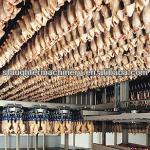 poultry processing machine