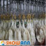 SA37A Chicken Slaughtering Production Line of Slaughter Conveyor