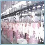 Poultry/chicken slaughtering equipment