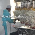 supply chicken feather removal machine