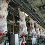 sheep cattle pig poultry slaughter line
