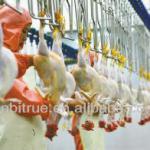 broiler chicken slaughter equipment