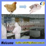Poultry processing equipment,poultry production equipment 0086 13663826049