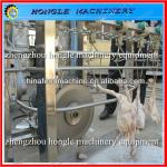 The chicken head cutting machine of the slaughtering line 0086 13283896072