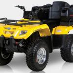 Cheap 400cc Utility ATV Quad - 5 Speed Reverse from USA