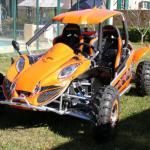 Europe Design 300CC Go Kart for Sale