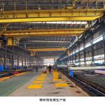 WEIHUA Overhead crane with Carrier-beam(parallel to the beam) 7.5+7.5 Ton