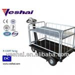 Electric Cart ECE-35-II