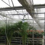 Plant humidify system
