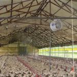 Double motor Swing suspending centrifugal sprayer for green house