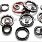 bearing oil seal