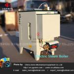Electric steam boiler