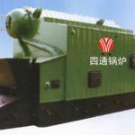 Double-drum Steam Coal Boiler