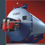 DRS series thermal oil heater