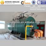 computer controlled WNS easy to install oil (gas) fired hot water boilers