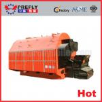 Coal/Wood Fired Boiler