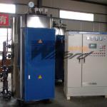 ASME Laundry,Hospital,Food steam boiler