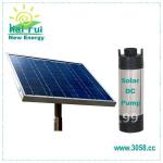 2011 Solar Water Pump