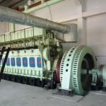 High Quality Biomass Gasification Power Generation