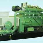 Best Selling Biomass power plant