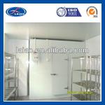 deep freezer cold room supplier with SS racks