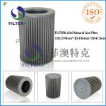 FILTERK G4.0 50 Micron Natural Gas Filter Cartridge-