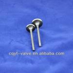 CG125 Motorcycle Engine Valve