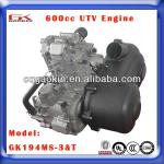UTV 600CC Engine