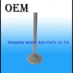 Volkswagen STN2000 Engine valve