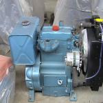 15kw -18kw two cylinder 2100D 295D diesel engine used for generating construction area