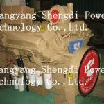 Chongqing Cummins Engine for Generator(M11/NT855/K19/K38/K50 Series)