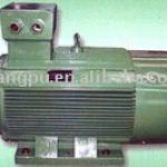 YPT Series Variable-frequency Adjustable-speed Three-phase Induction Motors