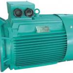 Y2 sries three-phase 37kw motor